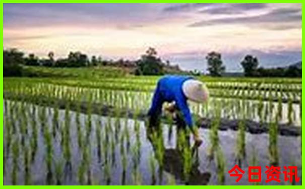 周末2日游去哪里好